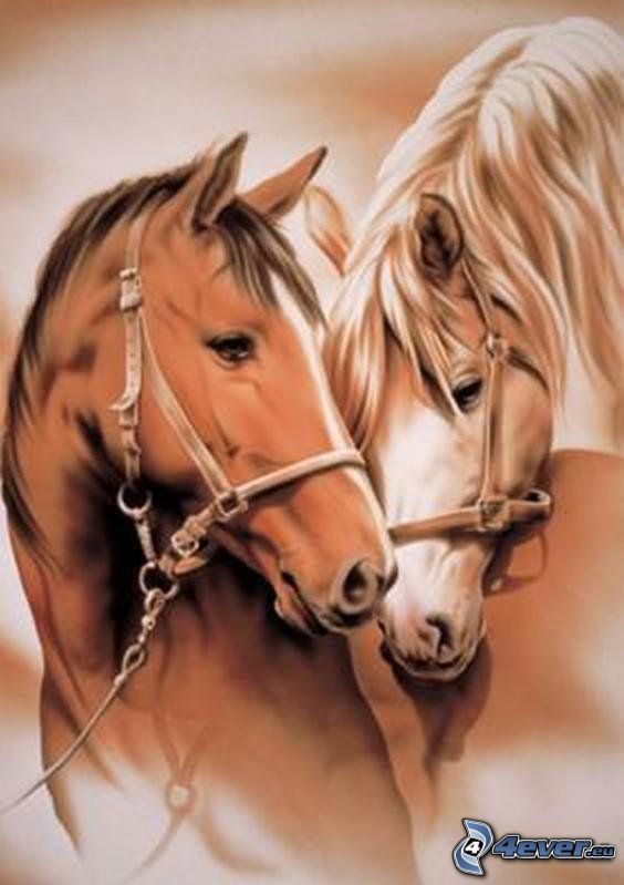 [obrazky.4ever.sk] kone, laska, neznost 146740